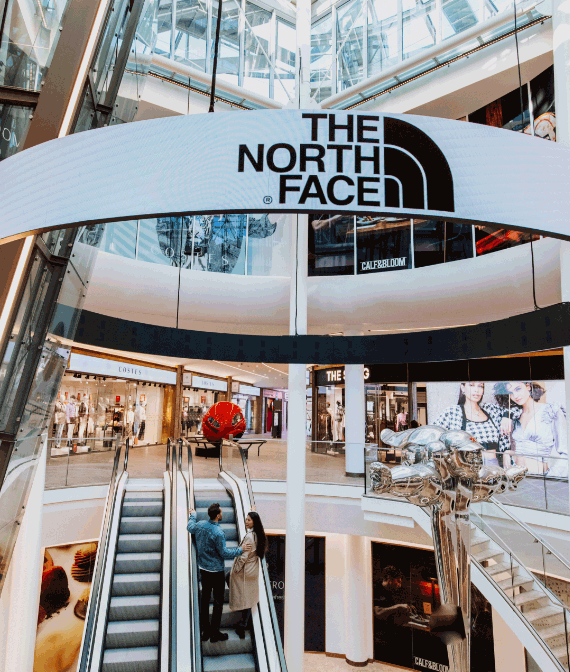 The north face
