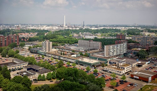 Hoogvliet