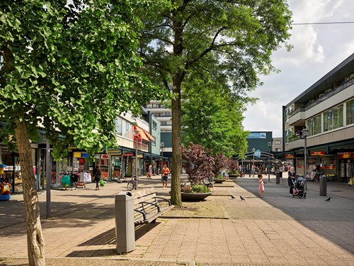 Hoogvliet