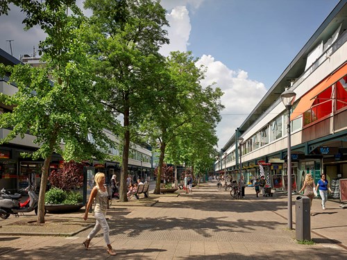 Hoogvliet